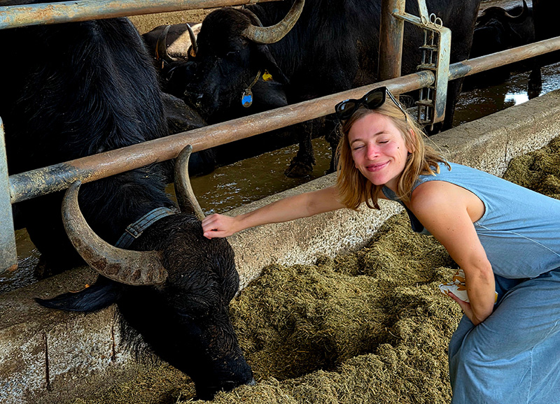 Cilento Classic 2026 5